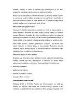 Essays 'Tēlu analīze Annas Brigaderes pasaku lugā ‘Sprīdītis’: raksturu atklāsme un morā', 4.