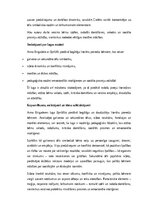 Essays 'Tēlu analīze Annas Brigaderes pasaku lugā ‘Sprīdītis’: raksturu atklāsme un morā', 5.