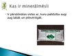 Presentations 'Pesticīdu un minerālmēslu izmantošana lauksaimniecībā', 14.