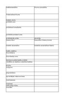 Summaries, Notes 'Jurisprudence - glossary', 48.