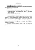 Term Papers 'SIA "X" gada pārskats', 3.