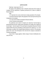 Term Papers 'SIA "X" gada pārskats', 4.