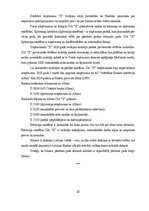 Term Papers 'SIA "X" gada pārskats', 20.