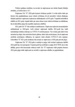 Term Papers 'SIA "X" gada pārskats', 29.