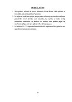 Term Papers 'SIA "X" gada pārskats', 32.