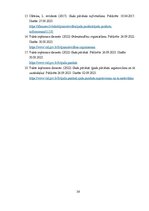 Term Papers 'SIA "X" gada pārskats', 34.