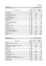 Term Papers 'SIA "X" gada pārskats', 38.