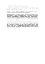 Summaries, Notes 'Tiesību teorija', 16.