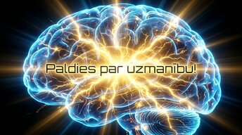 Presentations 'Kā fiziskās aktivitātes aizsargā smadzeņu veselību', 17.