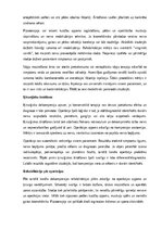 Summaries, Notes 'Tarsālā kanāla sindroms', 8.