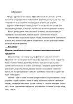 Research Papers 'Умственный труд и курение - несовместимы', 3.