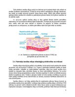 Research Papers 'Insulīna sūknis', 9.
