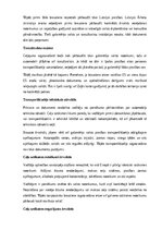 Summaries, Notes 'Pilnvara vadīt automašīnu un šķērsot ar to robežu', 9.