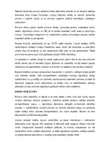 Summaries, Notes 'Pilnvara vadīt automašīnu un šķērsot ar to robežu', 15.