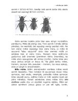 Research Papers 'Bišu saimes dzīve', 5.