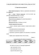 Term Papers 'Возможности повышения конкурентоспособности предприятия "Niallat un K"', 23.