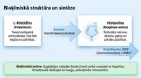 Presentations 'Histamīns', 4.