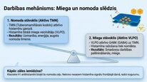 Presentations 'Histamīns', 5.