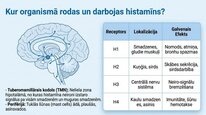 Presentations 'Histamīns', 7.