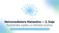 Presentations 'Histamīns', 12.