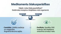 Presentations 'Histamīns', 17.