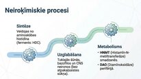 Presentations 'Histamīns', 19.