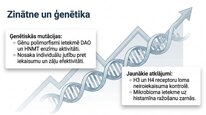 Presentations 'Histamīns', 22.