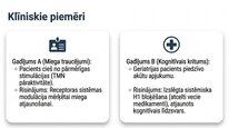 Presentations 'Histamīns', 24.