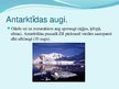 Presentations 'Antarktīda', 4.