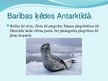 Presentations 'Antarktīda', 8.
