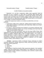 Research Papers 'Va/s "Latvijas Pasta" organizatoriskās struktūras konversija', 34.