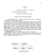 Research Papers 'Va/s "Latvijas Pasta" organizatoriskās struktūras konversija', 35.