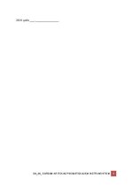 Samples 'Darba aizsardzības instrukcija darbam ar rokas pneimatiskajiem instrumentiem', 5.