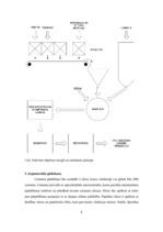 Research Papers 'Betona bruģakmens ražošanas tehnoloģiskā projektēšana', 5.