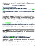 Summaries, Notes 'Eiropas Savienības starptautiskās privāttiesības un starptautiskais process', 77.