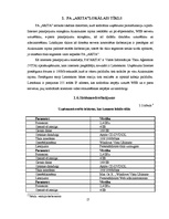 Research Papers 'Pašvaldības aģentūras "Aizkraukles rajona informācijas tīklu aģentūra" lokālais ', 17.
