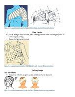 Summaries, Notes 'Saitēšana', 4.