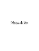 Research Papers 'Mezozoja ēra', 1.