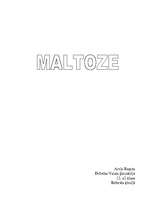 Research Papers 'Maltoze', 1.