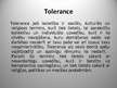 Presentations 'Tolerance', 2.