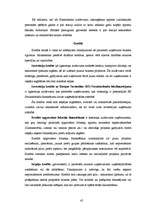Term Papers 'Daudzveidīgo nozaru uzņēmumu kreditēšanās Jelgavā un Zemgalē', 45.