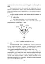 Term Papers 'Mārketinga platformas “Dalder.lv” stratēģijas izstrāde', 19.