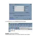 Research Papers 'Microsoft Excel finanšu funkcijas', 10.