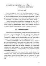 Research Papers 'Auksētiskās struktūras un to pielietojuma iespējas tehniskajā ortopēdijā', 12.