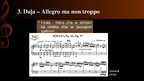 Presentations 'Bēthovena 23.klaviersonāte "Apasionāta"', 10.