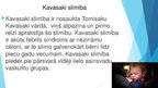 Presentations 'Kavasaki sindroms', 2.