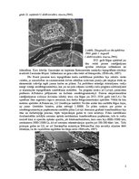 Presentations 'Latvijas aerofotogrāfēšanas vēsture un materiāli līdz 1960.gadam', 2.