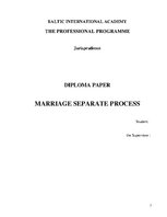 Term Papers 'Laulības šķiršanas procesuālā kārtība', 3.