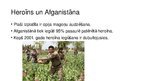 Presentations 'Prezentācija par Afganistānu', 18.