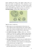 Research Papers 'Medicīniskā parazitoloģija. Helmintozes', 6.